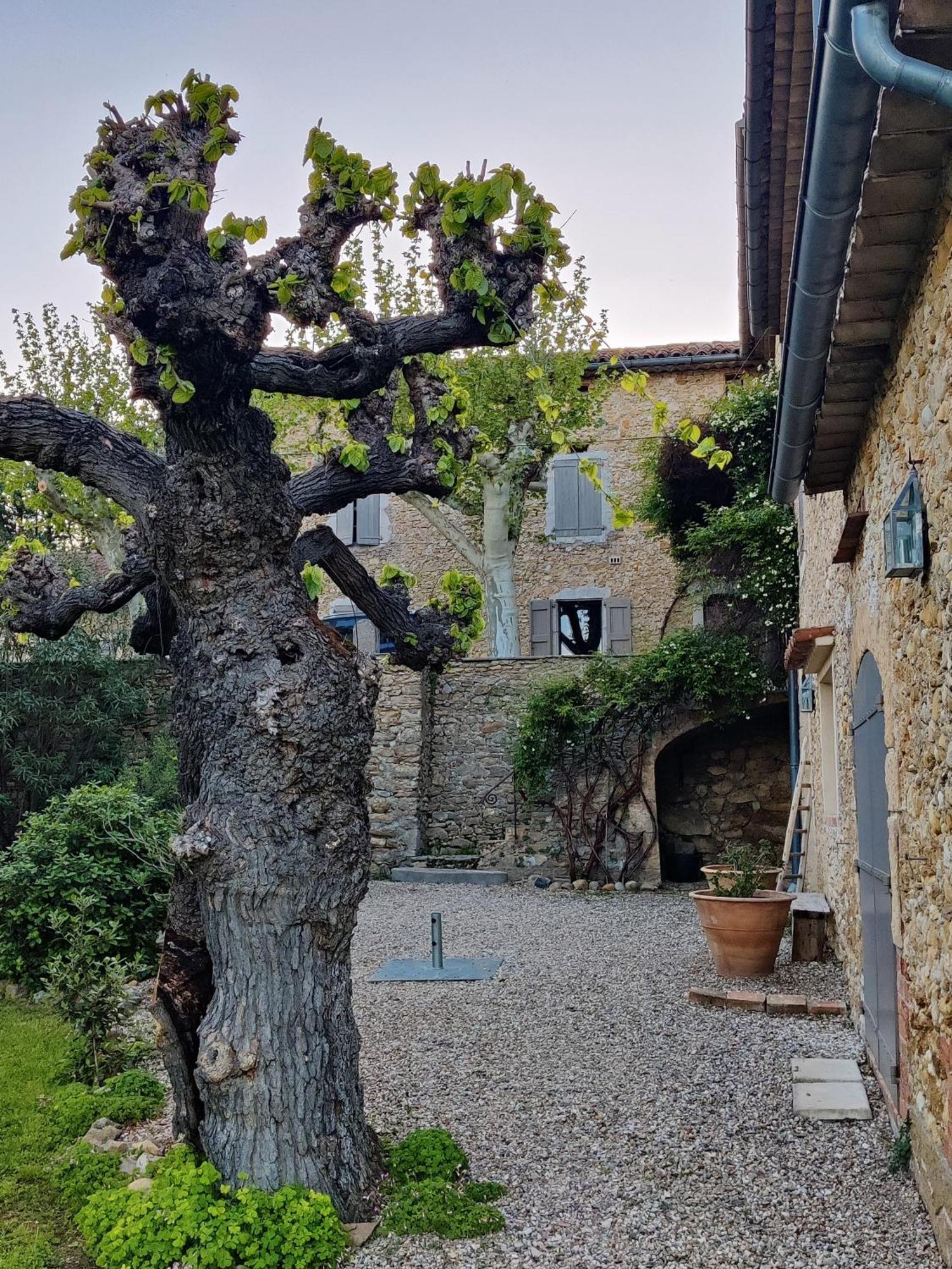 L'Etoffe, Charmante Chambre Dans Un Mas Cevenol Boisset-et-Gaujac Экстерьер фото